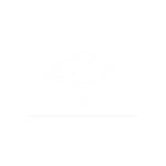 Hangcha